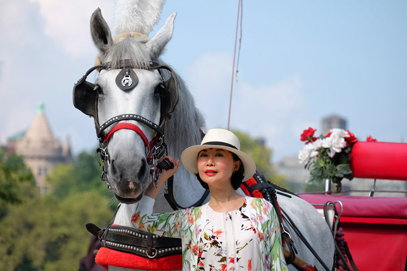Vivienne She, writer and creator of vivalaViv and White Caviar Life. From A Floral Dress to Recovering A Sense of Well-Being fashion story by White Caviar Life. Central Park Horse Carriage Ride photoshoot by Sydney fashion photographer Kent Johnson.