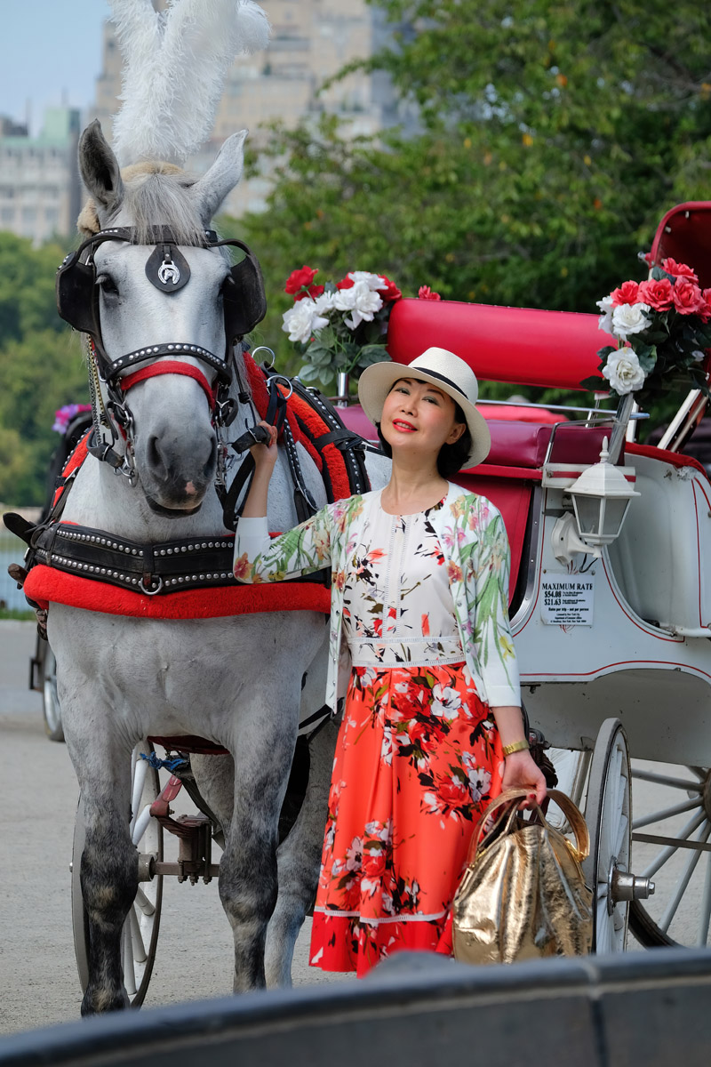 Vivienne She, writer and creator of White Caviar Life. From A Floral Dress to Recovering A Sense of Well-Being fashion story by White Caviar Life. Horse Carriage Rides in Central Park photoshoot by Australian photographer Kent Johnson.