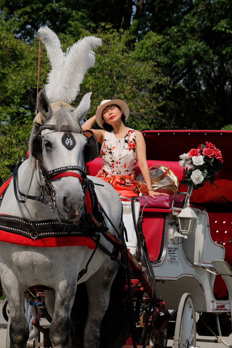 Vivienne She, writer and creator of vivalaViv and White Caviar Life. From A Floral Dress to Recovering A Sense of Well-Being fashion story by White Caviar Life. Central Park Horse Carriage Ride photoshoot by Sydney fashion photographer Kent Johnson.