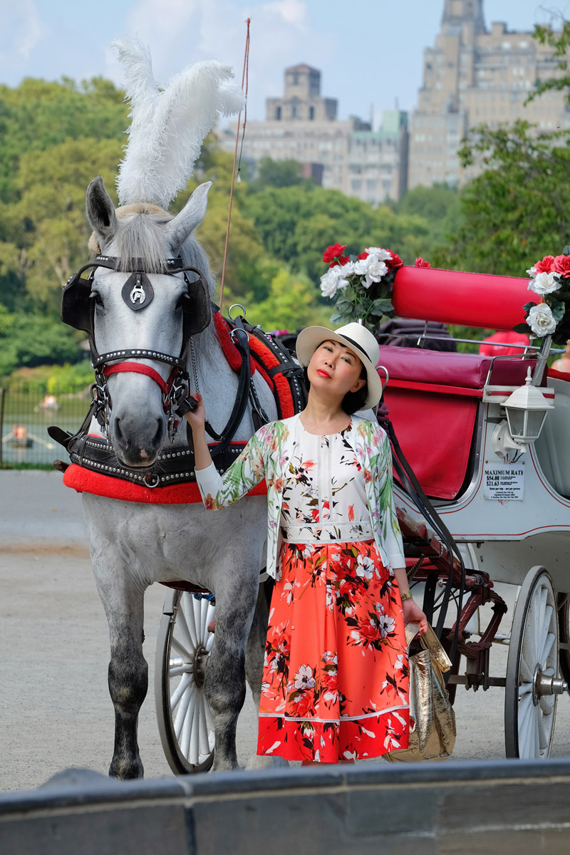 Vivienne She, writer and creator of White Caviar Life. From A Floral Dress to Recovering A Sense of Well-Being fashion story by White Caviar Life. Horse Carriage Rides in Central Park photoshoot by Australian photographer Kent Johnson.
