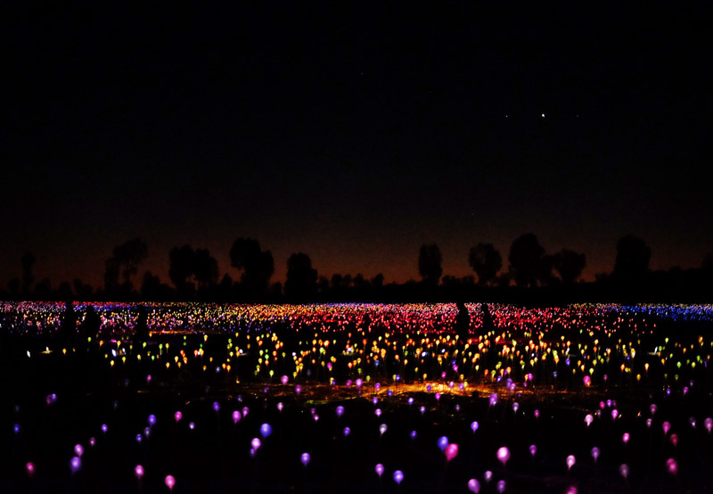 The Field of Light art installation by artist Bruce Munro. Photography by Sydney photographer Kent Johnson. Voyages Ayers Rock Resort review by White Caviar Life.
