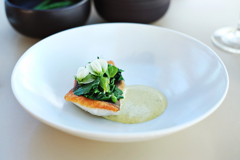 John Dory - Spigarello, Pea and Flowers, Sudachi Citrus Emulsion. Bennelong food review by White Caviar Life.