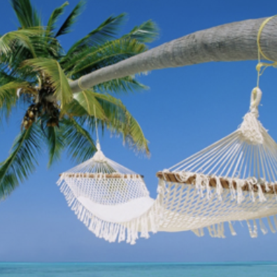 white caviar life logo